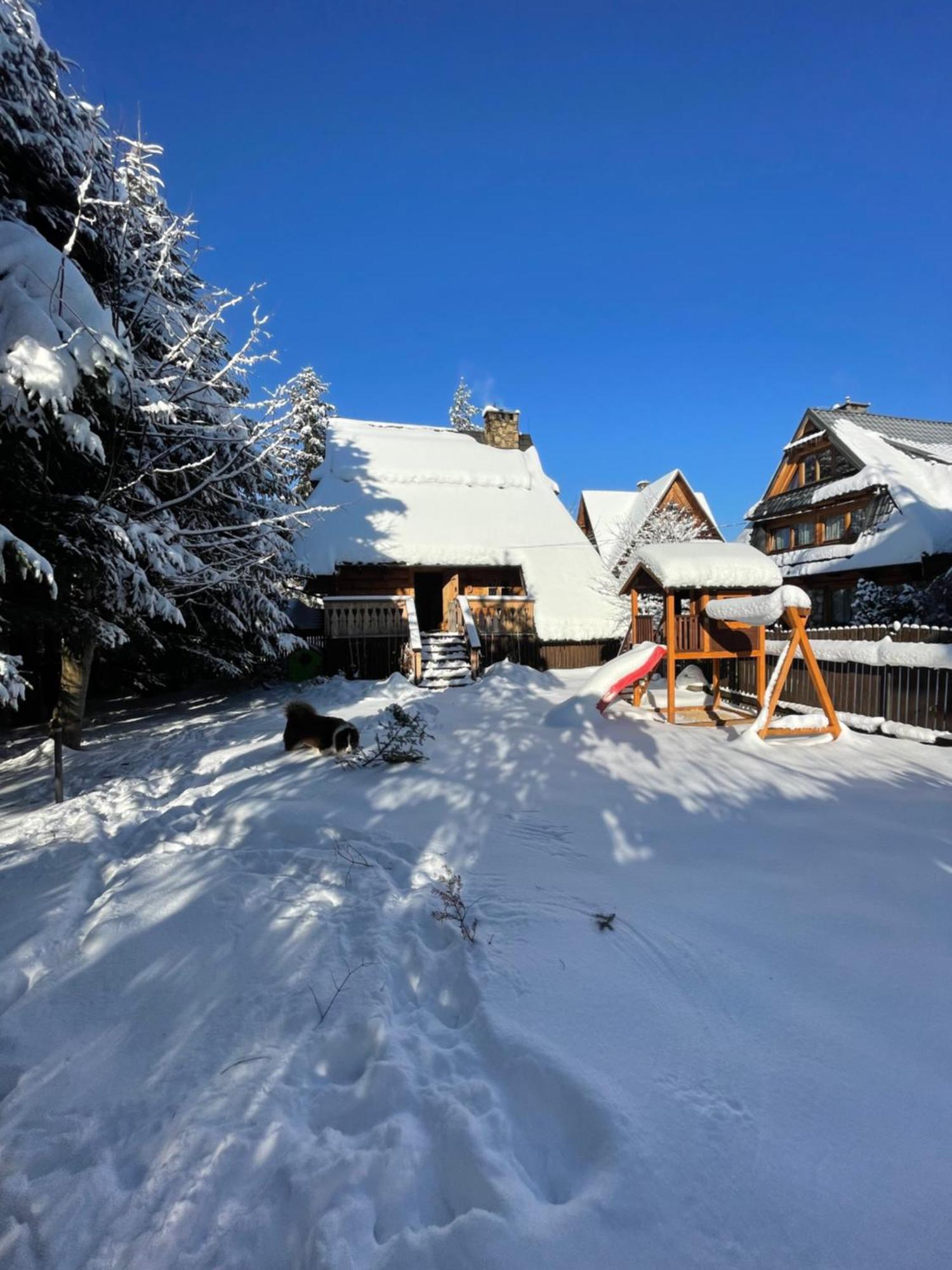 Domek Krzeptowskiego 18 Zakopane Exteriér fotografie